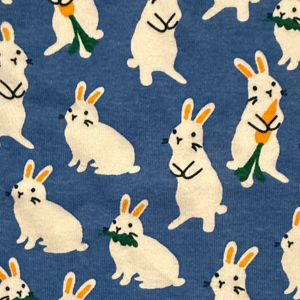 Hanna Andersson 100% Organic Cotton Short John PJ Set w/ Bunny + Striped Print - Picture 5 of 16